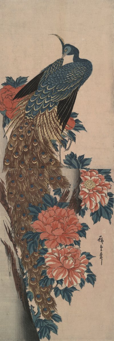 Pavão e Peacock de Utagawa Hiroshige