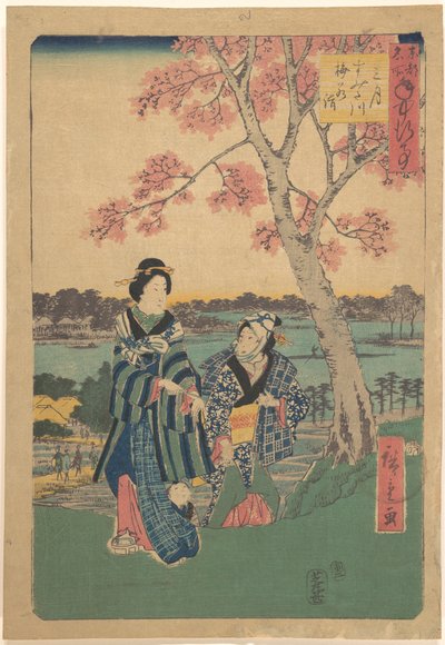 Observação das flores de ameixeira no terceiro mês junto ao rio Sumida, da série Eventos anuais em locais célebres da capital oriental (Tōto meisho nenjū gyōji sangatsu sumitagawa waka mōde) de Utagawa Hiroshige