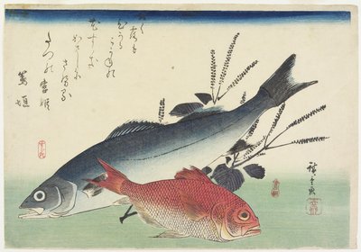Red Snapper, robalo e perilla, c. 1840 de Utagawa Hiroshige