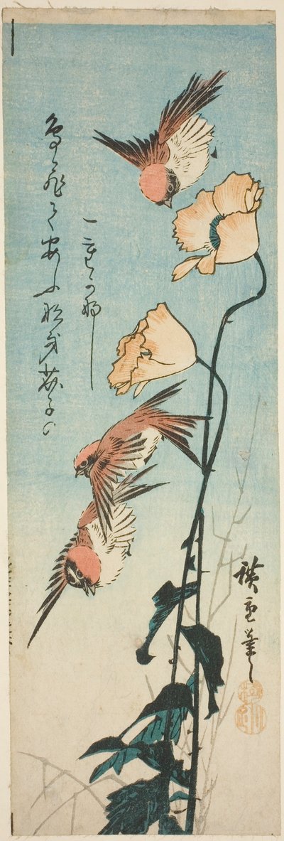 Pardais e papoulas de Utagawa Hiroshige