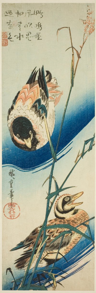 Dois patos nadando entre juncos de Utagawa Hiroshige