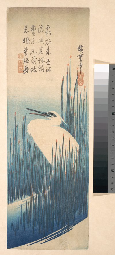 Garça-branca entre caniços de Utagawa Hiroshige
