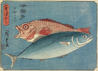 Savelhas e Rockfish, 1830-1844 de Utagawa Hiroshige