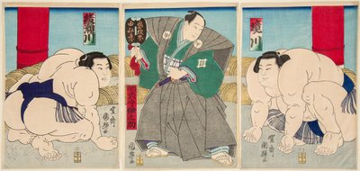 Luta de lutadores de sumo Shakaigawa e Ayasemawa. Impresso por Utagawa Kuniteru (1808-1876) de Utagawa Kuniteru
