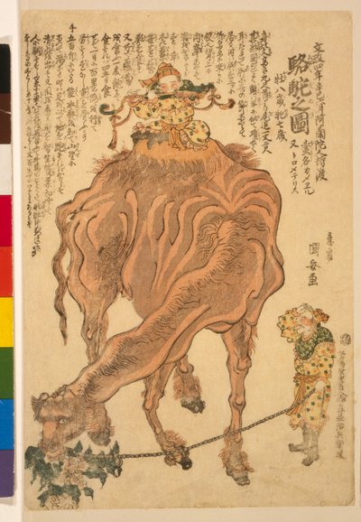 Um camelo, pub. 1824 (xilogravura colorida à mão) de Utagawa Kuniyasu