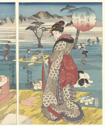 Conjunto Provincial Detoi Tamarier Inde Settsu Kuni no Tamagawa de Utagawa Kuniyoshi