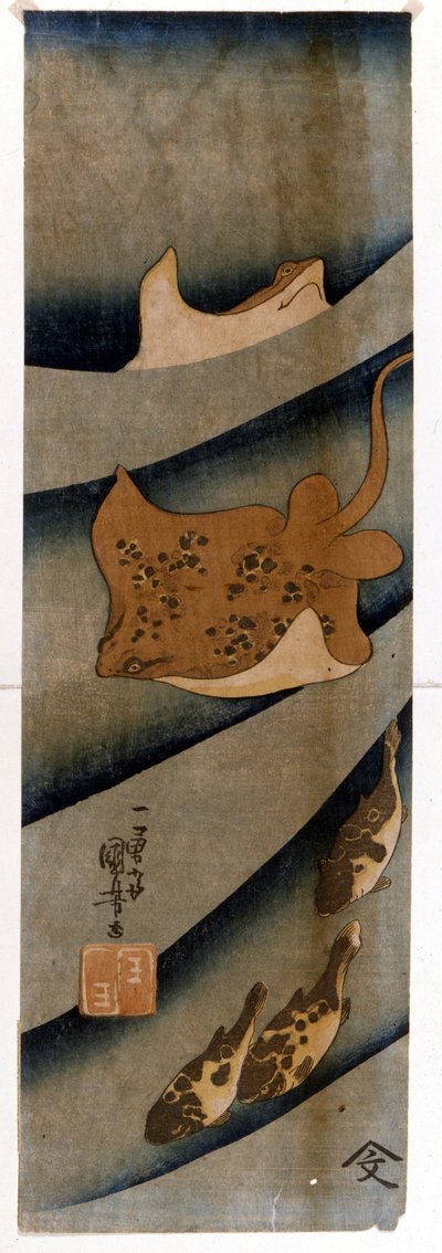 Impressões de Utagawa KUNIYOSHI (1797-1861) retratando os peixes. de Utagawa Kuniyoshi