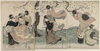 Cherry Blossoms in the Wind, final dos anos 1790. de Utagawa Toyokuni