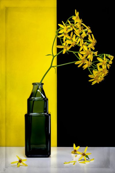 Contraste Moderno com Flores Amarelas de Vadim Kulinsky