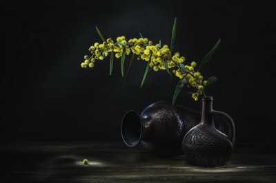 Natureza morta com mimosa amarela de Vadim Kulinsky