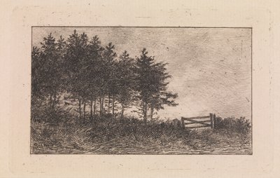 noite de agosto de Valdemar Schønheyder Møller