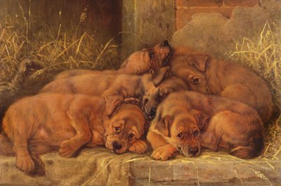 Amor Cachorrinho de Valentine Thomas Garland