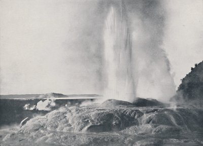 Geyser, Nova Zelândia, 1924 de Valentine and Sons Ltd