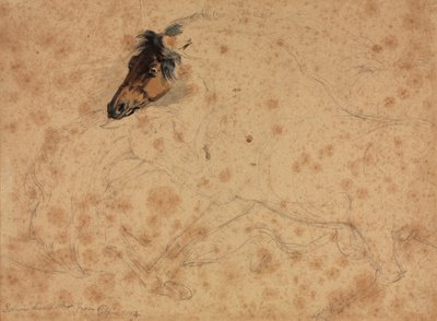 Estudo de cavalos de Veit Stoss