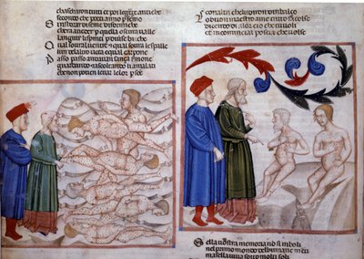 Dante e Virgílio em conversa com Grifolino de Arezzo e Capocchio de Siena. Século XIV (miniatura) de Venetian School