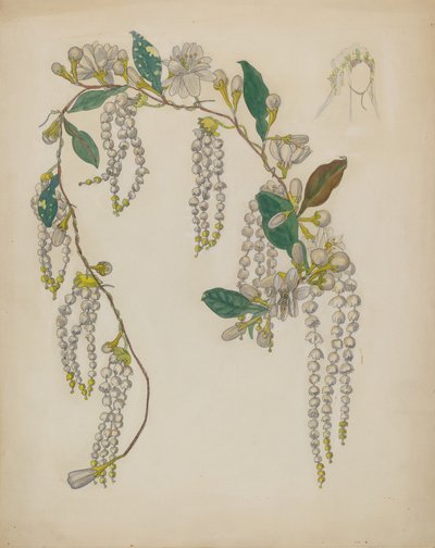 Coroa de Noiva de Verna Tallman
