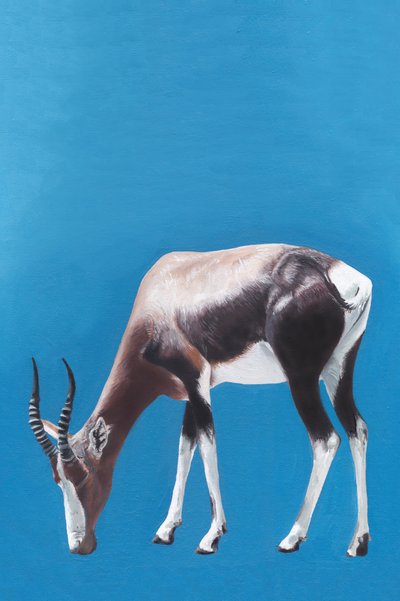 Blesbok a pastar no azul de Viccy Wanliss
