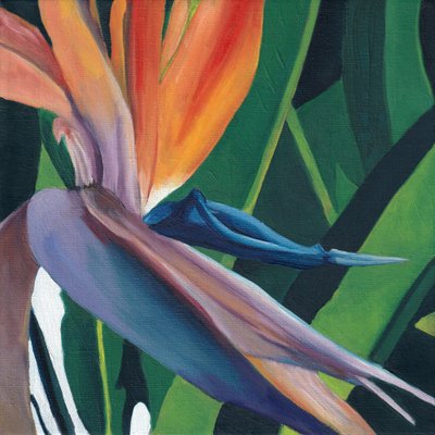 A vibrante ave-do-paraíso de Viccy Wanliss