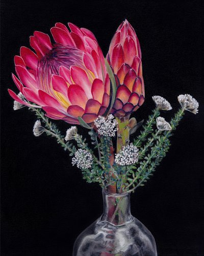 Flores de protea em plena floração de Viccy Wanliss