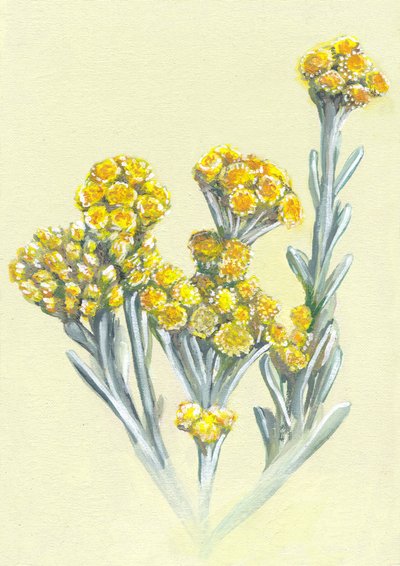  de Viccy Wanliss