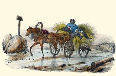 Le Paysan Russe. em "Album Grotesque, Choices of Outstanding Types", ilustrações de Victor Adam, Paris, cerca de 1850. de Victor Adam