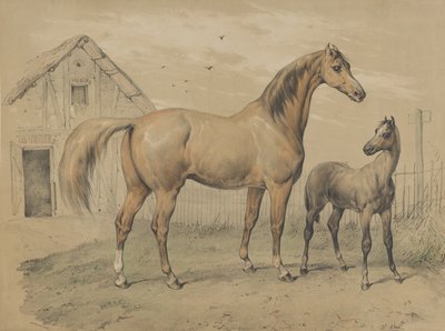 Égua e Potro, século XIX. de Victor Adam