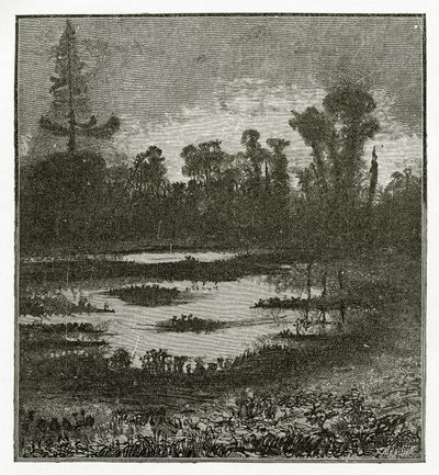 Canções do Crepúsculo, Século 19 (gravura bw) de Victor Hugo