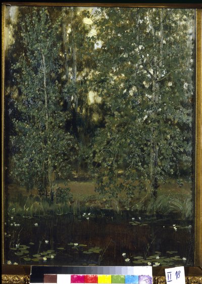 Lagoa em Akhtyrka (ou Okhtyrka, Ucrânia). Pintura de Viktor Mikhaylovich Vasnetsov (1848-1926), óleo sobre tela de Victor Mikhailovich Vasnetsov