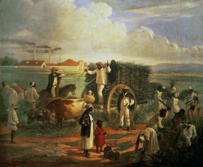O Moinho de Caná de Victor Patricio Landaluce