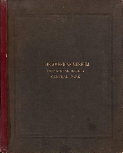 O Álbum Fotográfico do Museu Americano de História Natural, Central Park, Nova York de Victor Prevost, Gaston L. Feuardent and Co., New York