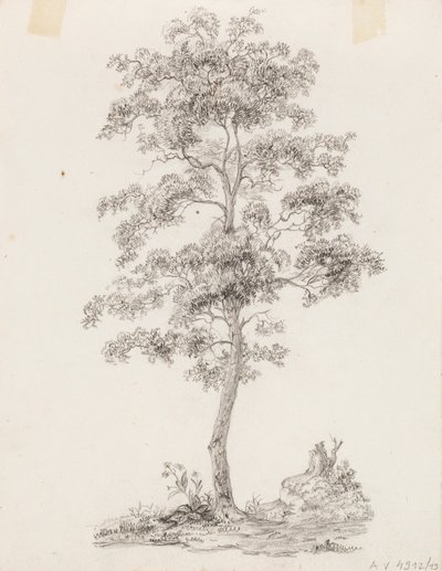 Árvore de Victoria Åberg