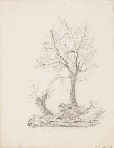 Árvores de Victoria Åberg