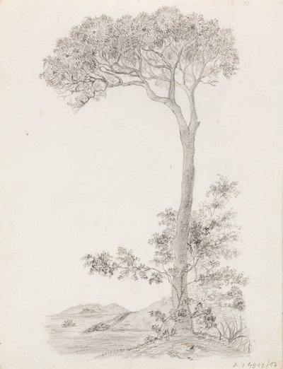 Árvores de Victoria Åberg