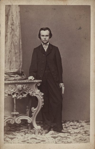 Retrato do compositor Anton Rubinstein 1829-1894. de Vienna . Photo studio Franz Schultz