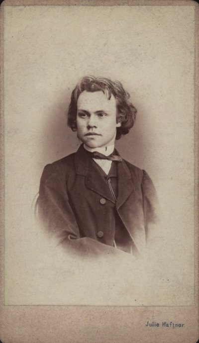 Retrato do compositor Anton Rubinstein 1829-1894. de Vienna . Photo studio Julie Haftner