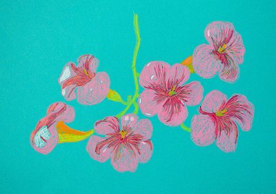 Desenho floral rosa de Viktoriia Saunina
