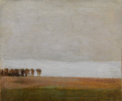 Vista de Jægersborg Allé. Gentofte, norte de Copenhague de Vilhelm Hammershøi