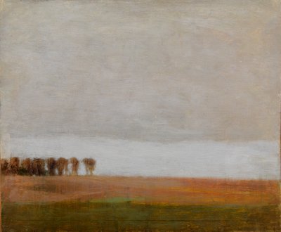 Vista de Jægersborg Allé. Gentofte, norte de Copenhague de Vilhelm Hammershøi
