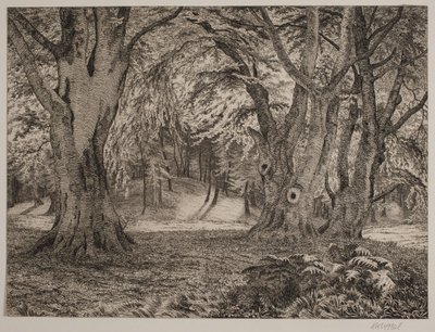 O interior de uma floresta de Vilhelm Kyhn