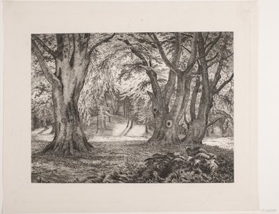 O interior de uma floresta de Vilhelm Kyhn