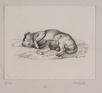 Um cão mentiroso de Vilhelm Kyhn