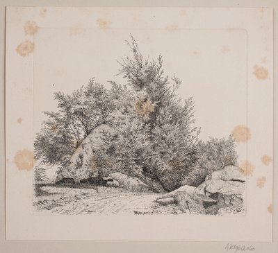 Um grande seixo de Vilhelm Kyhn