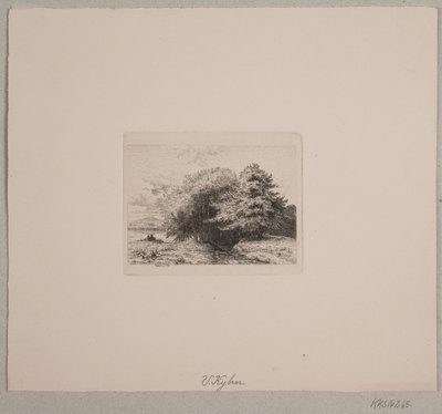 Borda de uma floresta de Vilhelm Kyhn