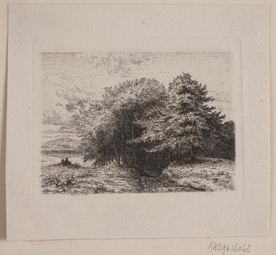 Borda de uma floresta de Vilhelm Kyhn