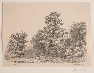 Borda de uma floresta de Vilhelm Kyhn