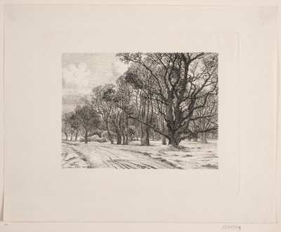 inverno na floresta de Vilhelm Kyhn