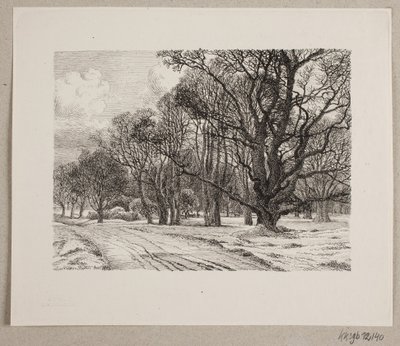 inverno na floresta de Vilhelm Kyhn