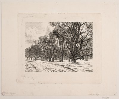 inverno na floresta de Vilhelm Kyhn