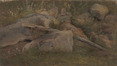 Estudo de um monte de pedra de Vilhelm Petersen