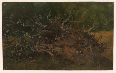 Estudo de um toco de árvore de Vilhelm Petersen